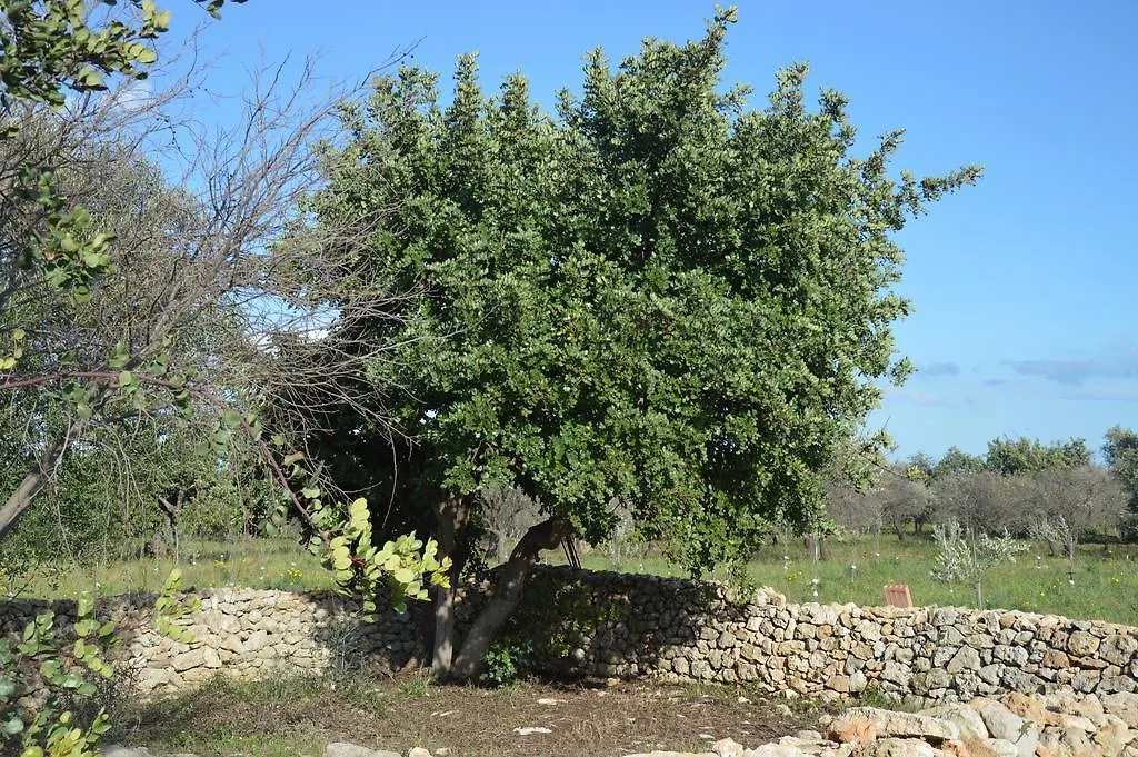 Villa Terramater à Noto